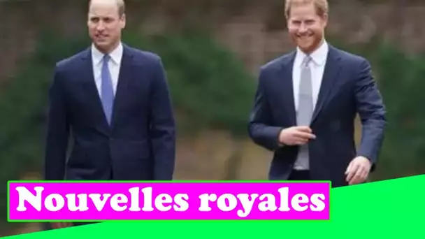 Envie de participer ! » Harry et William devraient être réunis lors du prochain événement du Diana