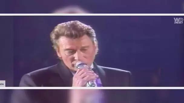 ✅  VIDÉO – Johnny Hallyday : ce jour où il a pris la défense de Patrick Bruel devant la France entiè