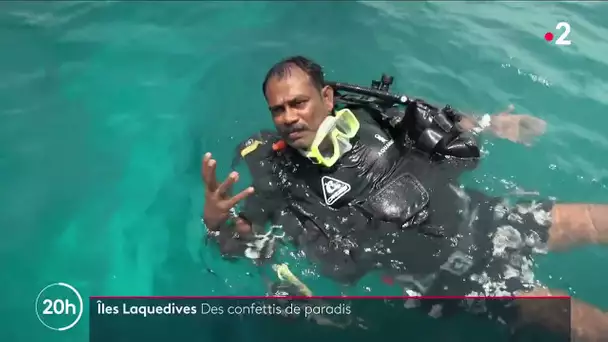 Îles Laquedives : des confettis de paradis