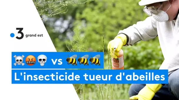 ☠️🤬💀 vs 🐝🐝🐝 : l'insecticide tueur d'abeilles est de retour
