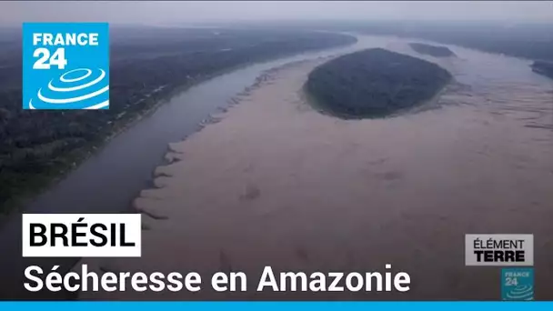 Brésil : sécheresse en Amazonie • FRANCE 24