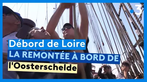 Débord de Loire : la remontée de la Loire à bord de l'Oosterschelde