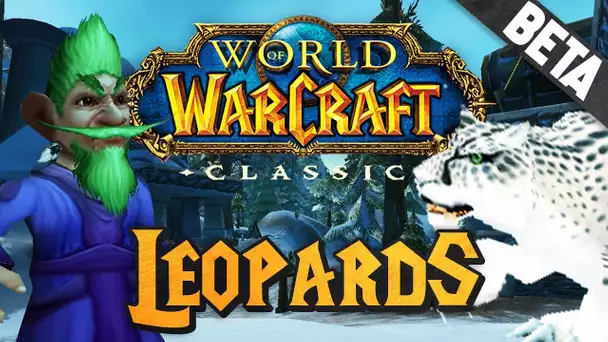 WoW Classic #3 : Leopards