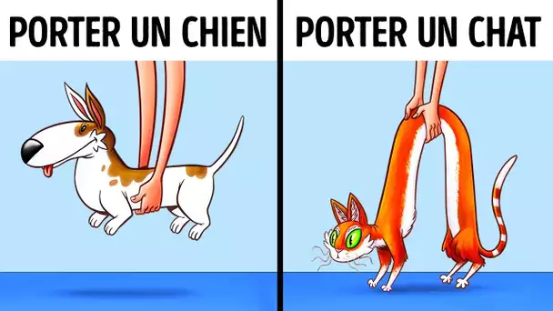 9 Preuves Que Les Chats Et Les Chiens Viennent De Planètes Différentes