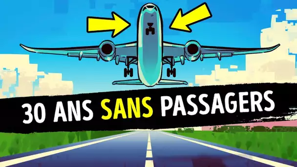 Une Compagnie Aérienne Vieille de 30 Ans Qui n’a Jamais Volé