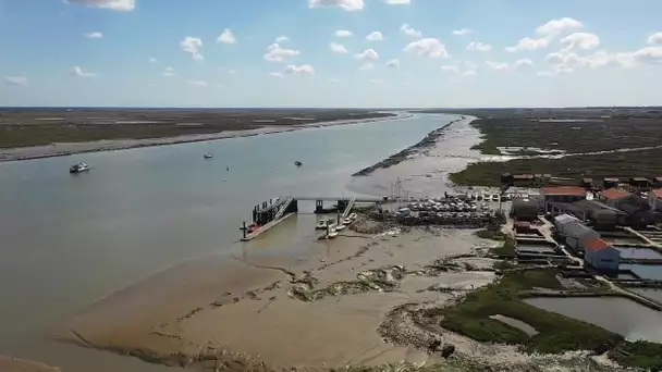 « Tous les chemins mènent à vous » à La Tremblade dans le département de la Gironde