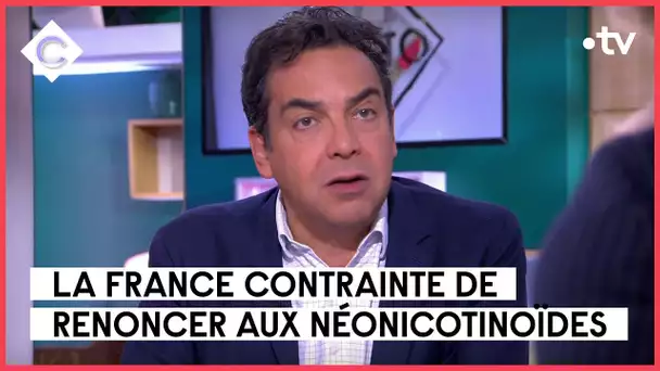 Néonicotinoïdes : la filière sucre en danger ? - L’édito de Patrick Cohen - C à vous - 24/01/2023