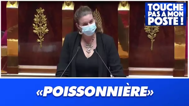 Un député traite de "poissonnière" une opposante : doit-il être sanctionné ?