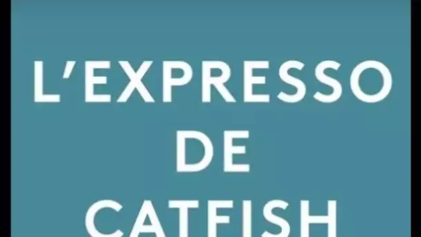 #studio3 : l&#039;expresso de Catfish