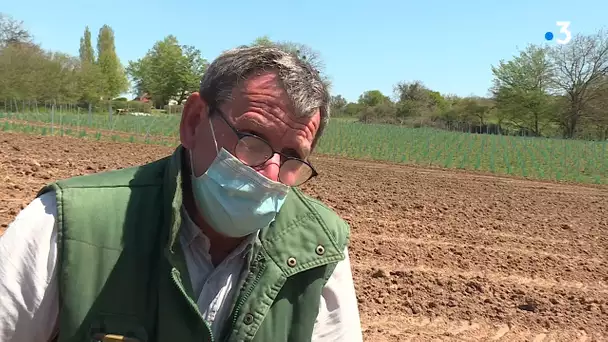 Un agriculteur se lance dans la plantation de vignes.