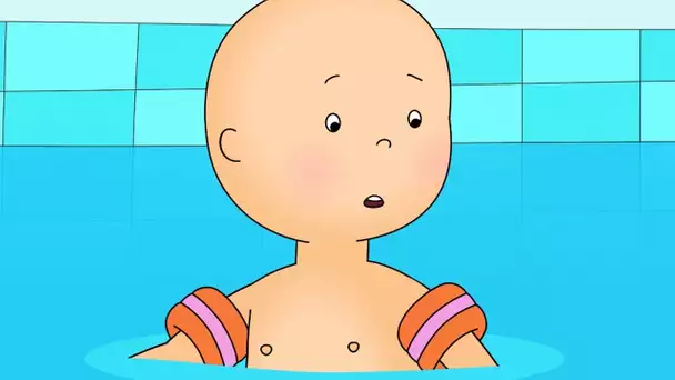 Caillou à la Piscine | Caillou en Français