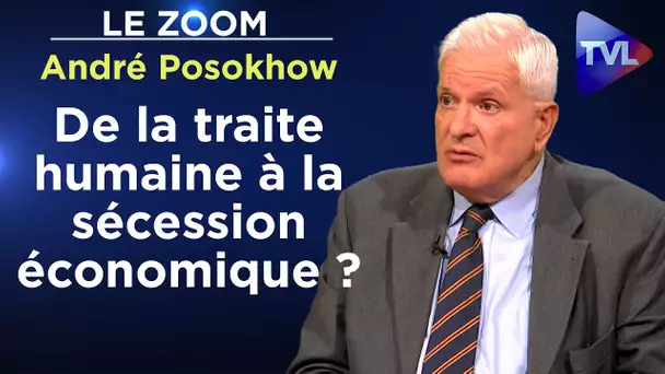 Immigration extra-européenne : 193 milliards €/an ? - Le Zoom - André Posokhow - TVL