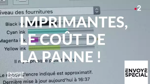 Envoyé spécial. Imprimantes : le coût de la panne ! - 28 février 2019 (France 2)