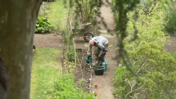 Maine et Loire : Découverte et visite du jardin botanique Angers