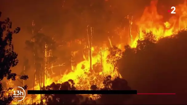Australie : seuls contre les flammes