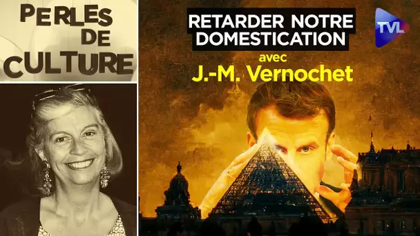 J.-M. Vernochet : Manuel pour retarder notre domestication totale - Perles de Culture n°355 - TVL