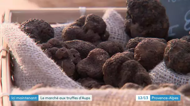 Direction Aups et son célèbre marché de la truffe