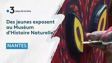 Nantes : des jeunes d'un foyer exposent leurs œuvres au Muséum d'Histoire Naturelle