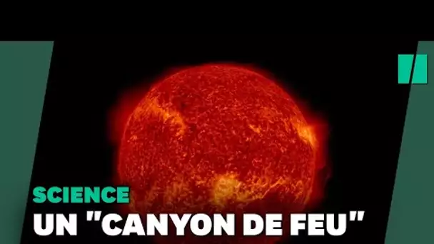Un "canyon de feu" apparu à la surface du Soleil fait 5 fois la taille de la Terre