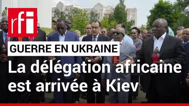 Ukraine : la mission de paix africaine • RFI