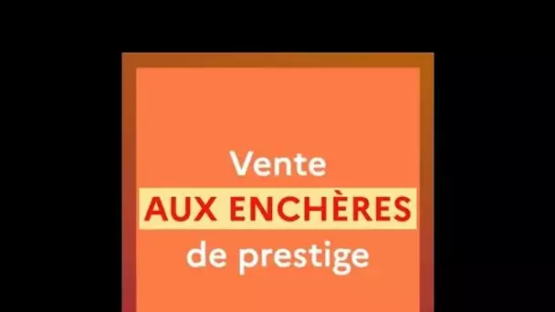 À Bercy, une vente aux enchères de biens acquis par des criminels • FRANCE 24