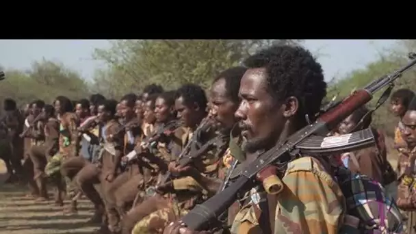 Guerre en Éthiopie : l'Armée de libération oromo progresse vers Addis-Abeba • FRANCE 24