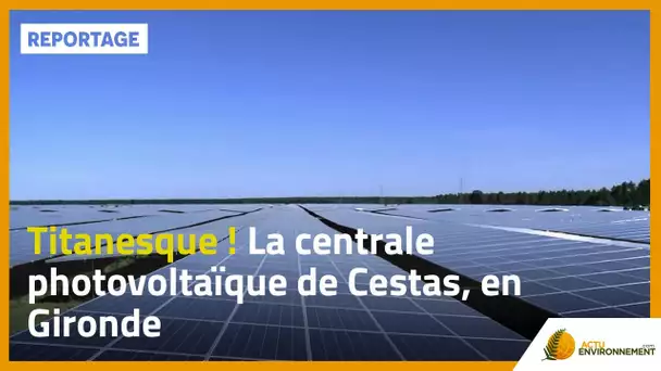 Titanesque ! La centrale photovoltaïque de Cestas, en Gironde