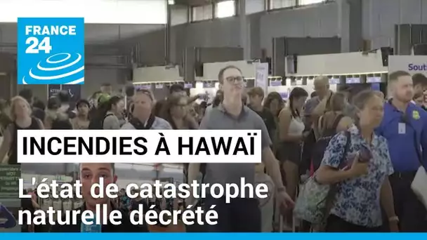 Incendies à Hawaï : "des milliers de touristes ont dû abréger leurs vacances" • FRANCE 24