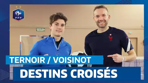 Voisinot / Ternoir : expérience et apprentissage