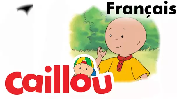 Caillou FRANÇAIS - La leçon de karaté (S03E01) | conte pour enfant | Caillou en Français