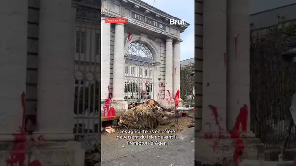 Les agriculteurs en colère déversent du lisier devant la préfecture d'Agen