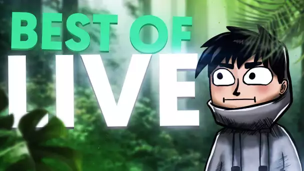 Best Of Live : Un Ewok dans la forêt 🔫 | #95