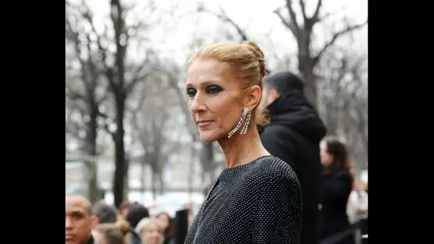Celine Dion condamnée à rembourser des millions