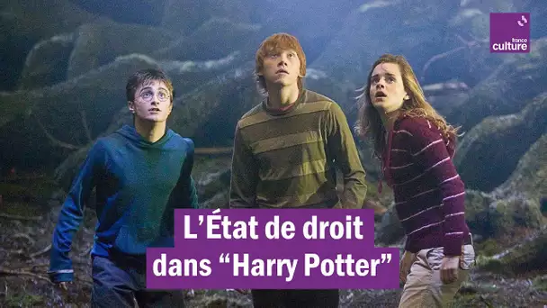 Harry Potter vu par les juristes