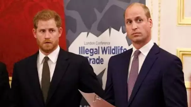 Harry et William : l’ex-garde du corps de Diana se souvient d’une scène prémonitoire