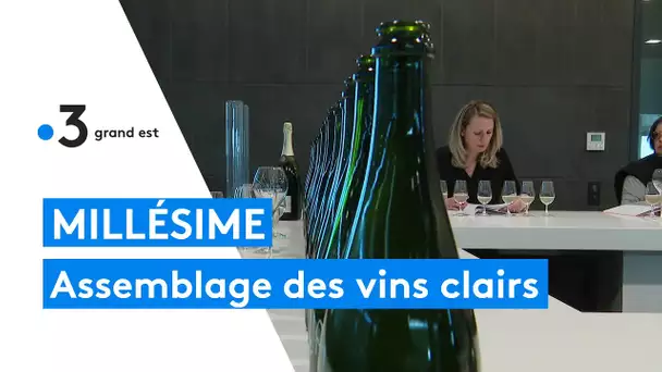 Champagne : l'art de l'assemblage des vins clairs