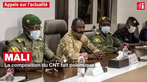 Mali : la composition du CNT fait polémique