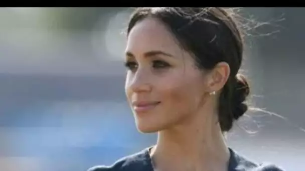 Les espoirs politiques de Meghan Markle pourraient être en lambeaux après leur "aliénation" de la "m