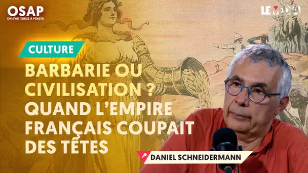 "L'AFRIQUE ? LA FRANCE S'EN FOUT !" (DANIEL SCHNEIDERMANN)