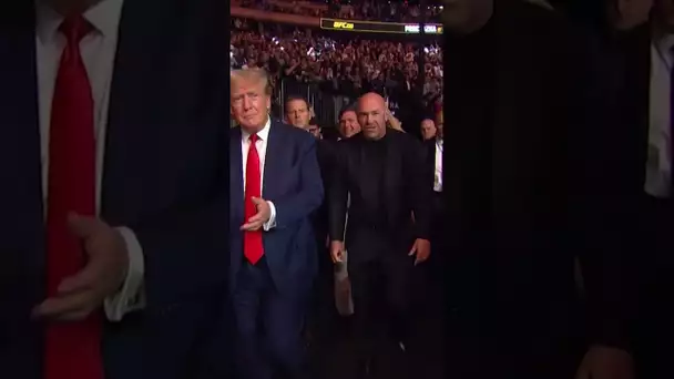 🇺🇸 Donald Trump OVATIONNÉ par le public de New York lors de l'UFC 295