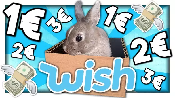 ON A ACHETÉ DES OBJETS WISH POUR NOTRE LAPIN !