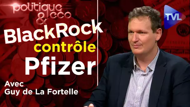 BlackRock : en marche vers la Biocratie - Politique & Eco avec Guy de La Fortelle (2ème partie)