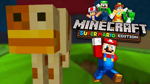 SUPER MARIO MINECRAFT NINTENDO WII U FR | A LA RENCONTRE DE POOCHY !