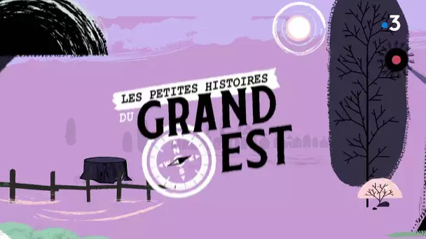 Les petites histoires du Grand Est : les faux de Verzy (3/10)