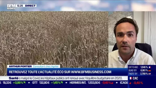 Arthur Portier (Agritel) : Crise alimentaire, quelles solutions ?