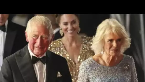 Prince Charles et Camilla : Lady Diana au courant de l’existence de leur supposé...
