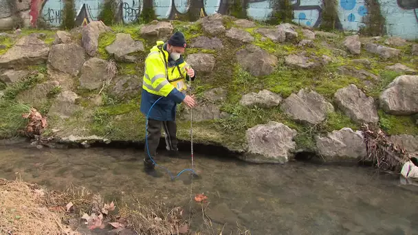 L'Unesco fait de Montpellier une capitale mondiale de la recherche sur l'eau