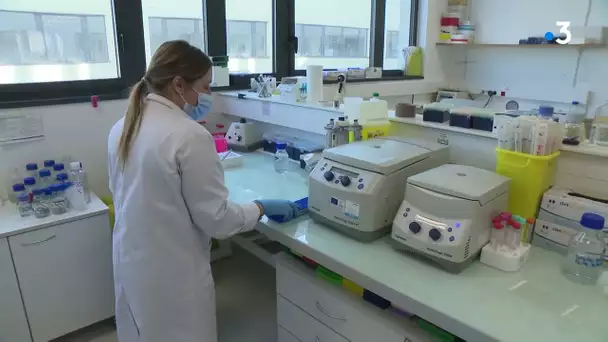 L'amylose, maladie rare qui touche les organes, étudiée à Limoges