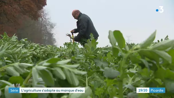 L’agriculture de conservation, une solution pour faire face à la sécheresse