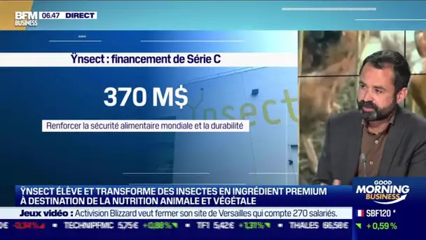 Antoine Hubert (Ynsect): Ynsect lève 190M€ supplémentaires dans l'élevage d'insectes